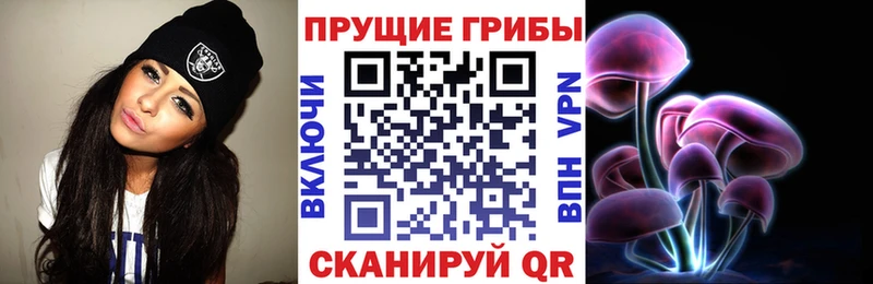 купить наркоту  Лагань  Галлюциногенные грибы Psilocybine cubensis 